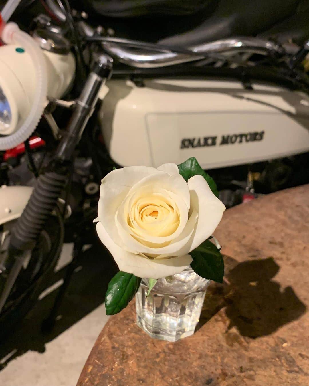 福山理子さんのインスタグラム写真 - (福山理子Instagram)「白いバラとスネモくん #白いバラ #snakemotors #motorcycle」7月13日 16時19分 - rikofukuyama