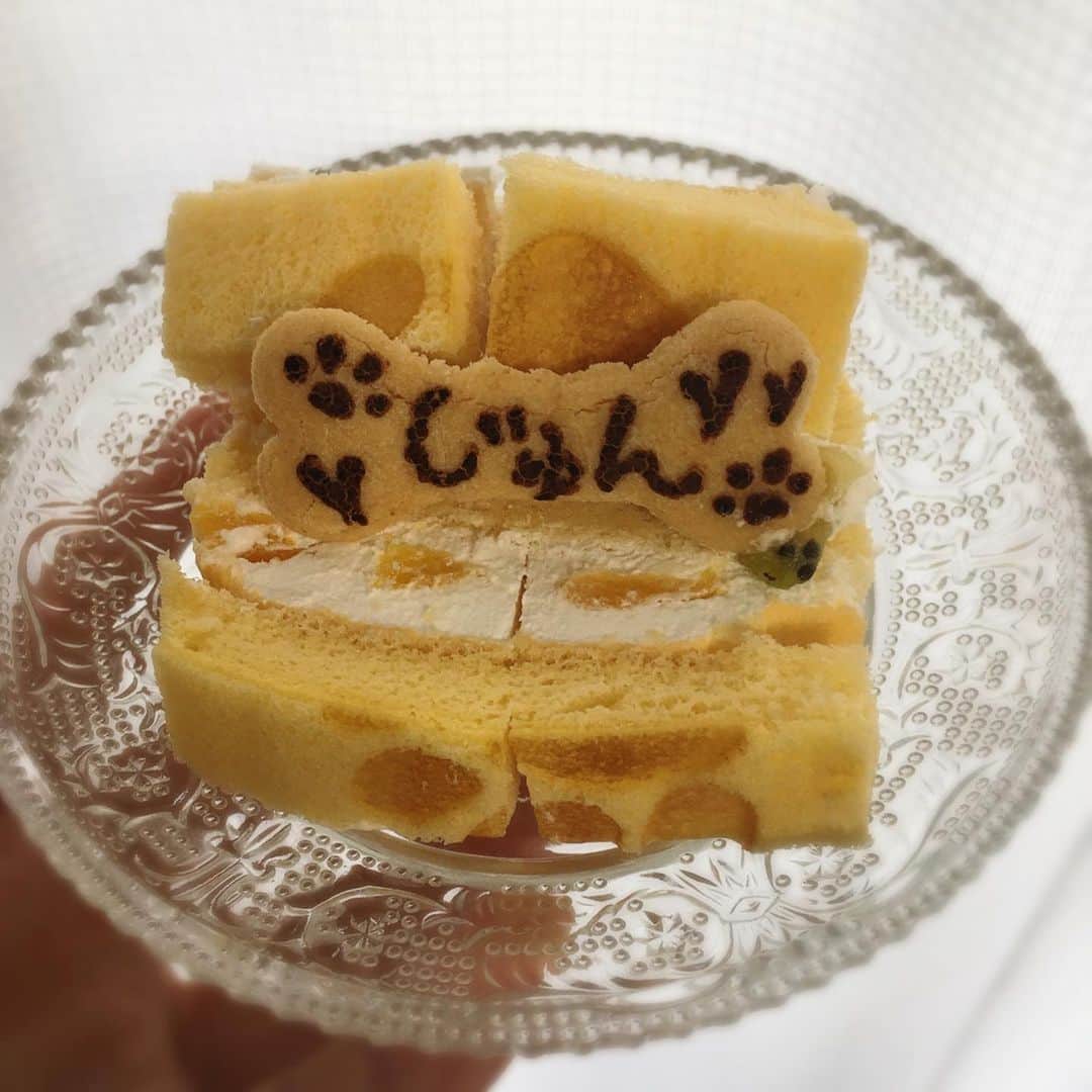 佐藤円香さんのインスタグラム写真 - (佐藤円香Instagram)「じゅんの誕生日なので、犬用ケーキを買ってきました☺️✨  人間も美味しく食べられるケーキ✨との事なので、じゅんの分は食べやすくカットして半分は私がいただきました！  甘さ控えめで、とっても美味しかったです😋  ケーキは、ドッグカフェむすびさんで購入しました🐾  おめでとう☺︎じゅん❁⃘*.ﾟ   #birthday #犬の誕生日 #11 #トイプードル #犬のケーキ #バースデーケーキ #米粉ケーキ #トイプードル #カフェ #ドッグカフェ」7月13日 16時21分 - madoka.p.j.614