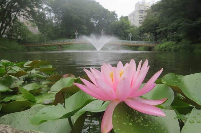 Soka Universityのインスタグラム