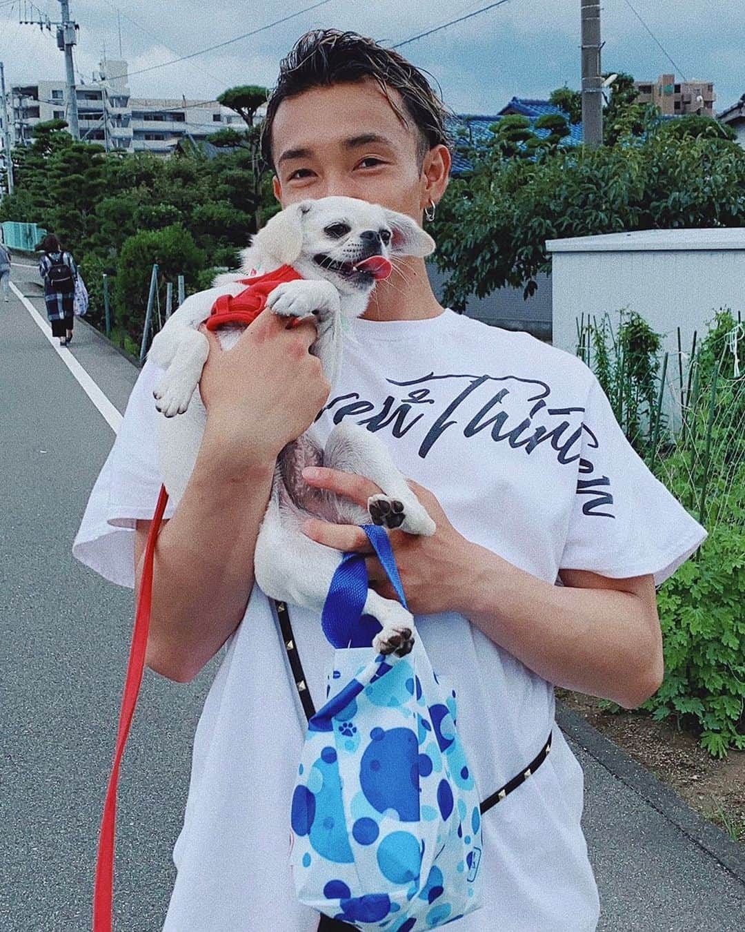 増山朝陽のインスタグラム：「雨があがったタイミングで お散歩🚶‍♂️ お久しぶりの散歩は終始元気🐾 #湿気がすごい #汗だく #風が強い　 #犬のいるくらし #SEVEN2THIRTEEN」