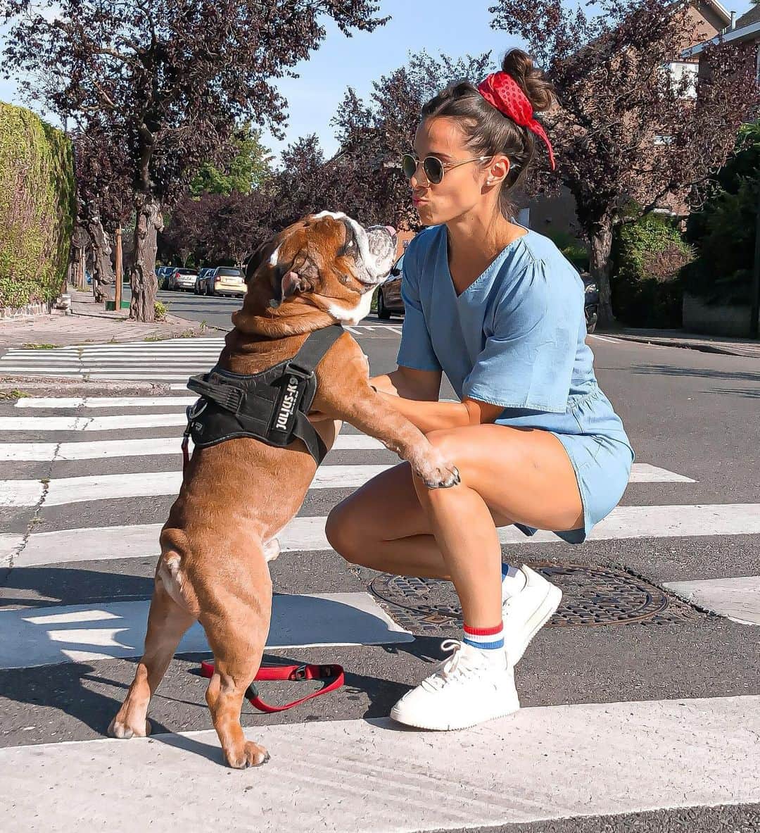 Camille LAUSさんのインスタグラム写真 - (Camille LAUSInstagram)「♥️ L o v e l y  W a l k ♥️  #englishbulldog #winston #love #bulldoglove #walk #kiss #sun #bellerose #jachetebelge #brussels #urban」7月14日 2時46分 - camillelaus