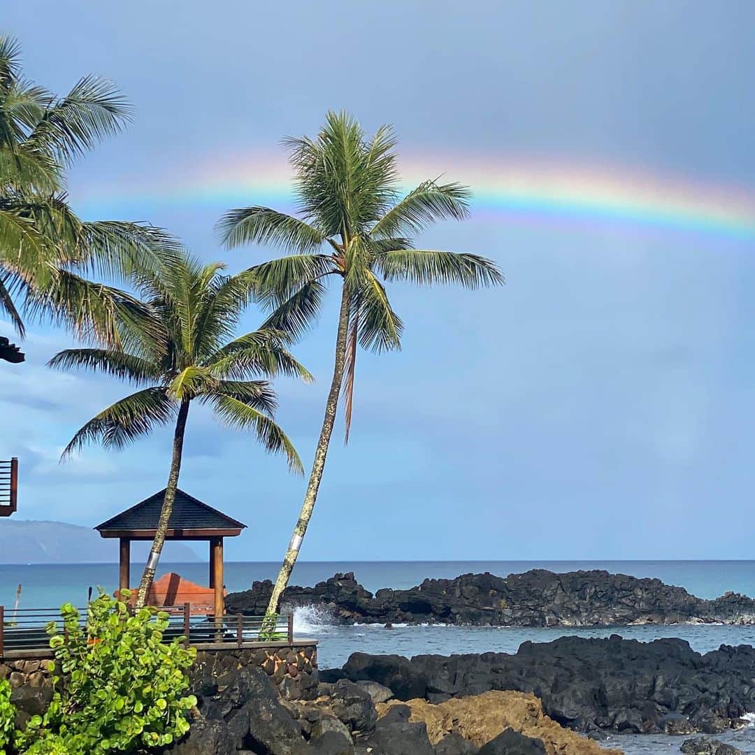 クラーク・リトルさんのインスタグラム写真 - (クラーク・リトルInstagram)「Good morning 🌴🌴🌈 #hawaii #clarklittle 🆑」7月14日 3時27分 - clarklittle