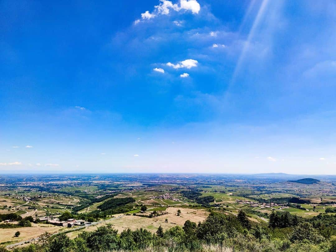 別府史之のインスタグラム：「la terrasse du beaujolais 🍇 🍷 #France #RhoneAlpes #beaujolais #108mp」