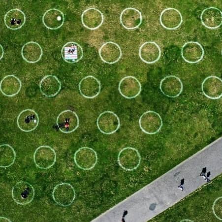 のインスタグラム：「AFP Photo 📷 @inafassbender - An aerial view shows a field with painted circles for social distance at the Rhine promenade in Duesseldorf, western Germany on July 12, 2020.」