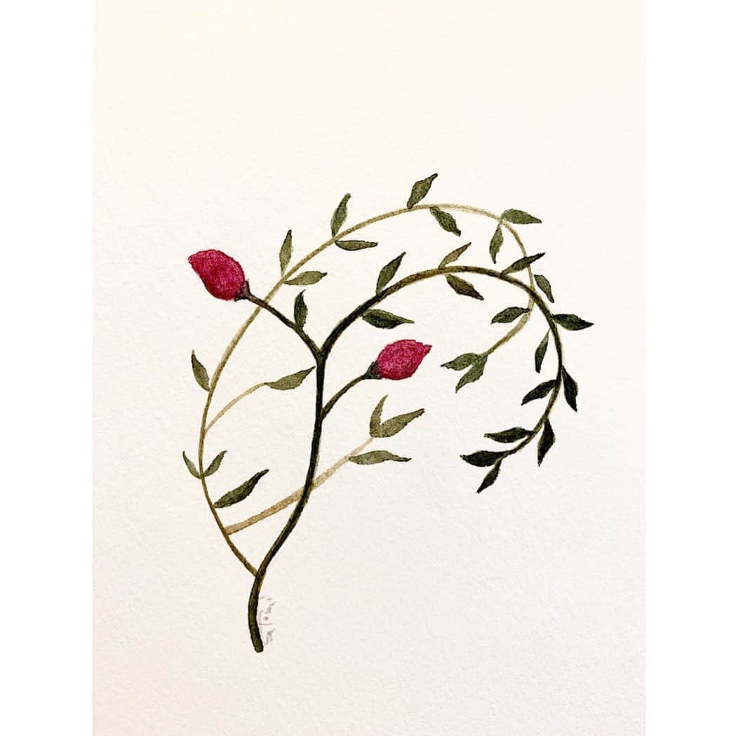 のインスタグラム：「木の茂みに羊を発見🐏🌿  #illustration #trees #sheep  #羊 #イラスト #植物のある暮らし #♈」