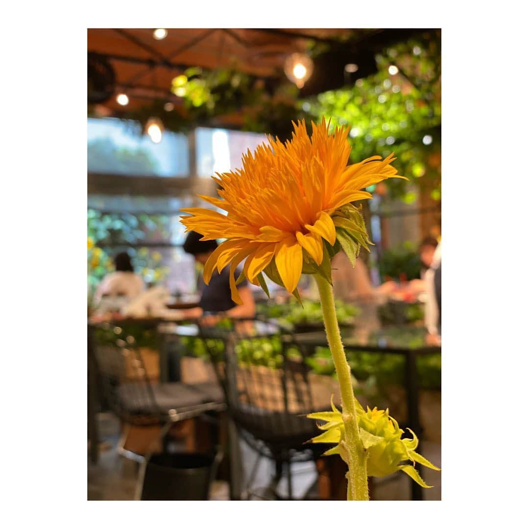 實石あづさのグルメインスタ