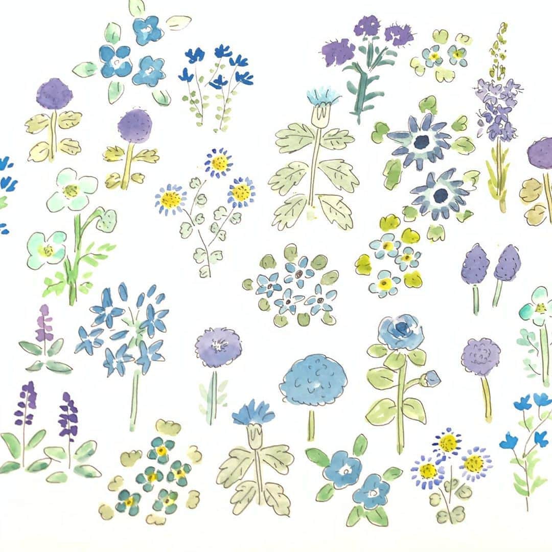 ハルペイさんのインスタグラム写真 - (ハルペイInstagram)「💠💠 青い花 自然界のブルーって、 好き❤️ . #blue #青い花  #blueflowers  .  #harupei#ハルペイ#doodle#draw#drawing#illustrator#illustration#japan#絵#雑貨#湘南#イラスト#イラストレーター#ゆるい#茅ヶ崎」7月13日 20時17分 - harupeipei