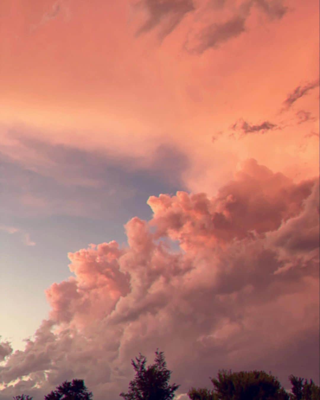 イーライ・リエブのインスタグラム：「We better take care of this world because Mother Nature has enough force to wipe away any evidence we were ever here. She is very generous for letting us overstay our welcome. Let’s start thanking and appreciating her.」