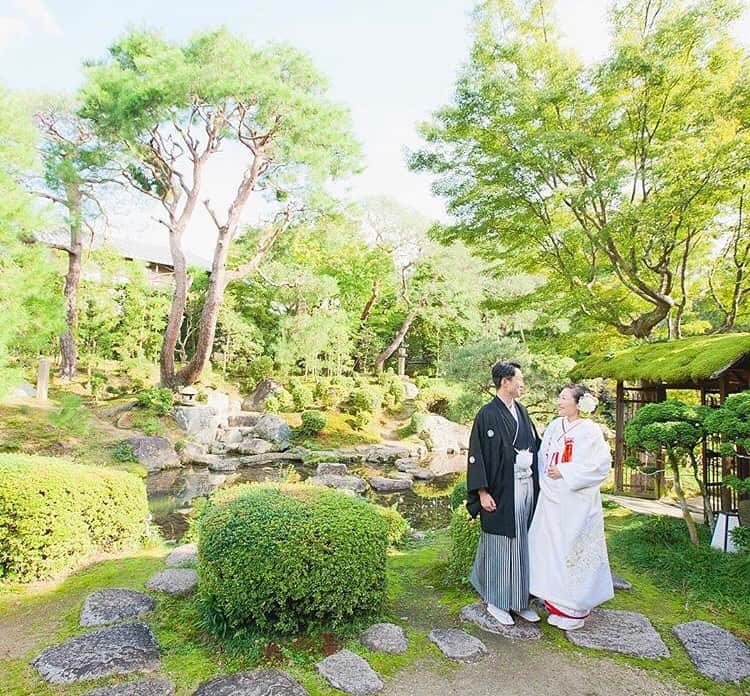 桜鶴苑のグルメインスタ