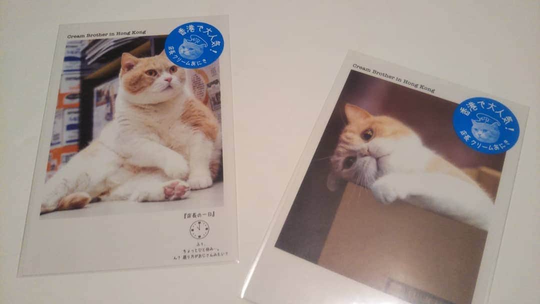 伊藤修子さんのインスタグラム写真 - (伊藤修子Instagram)「まだ楽天にポストカード売ってたのでポチりました…!」7月13日 21時52分 - itoshuko