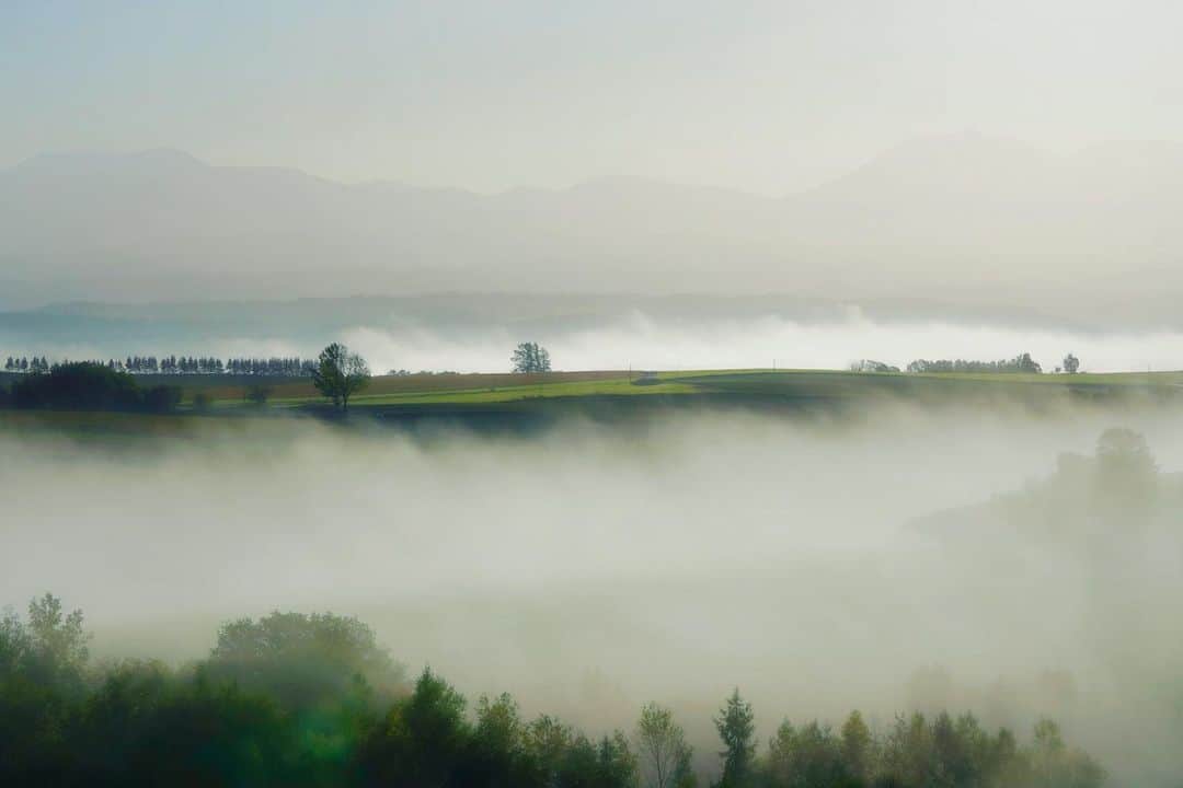 Hikaruのインスタグラム：「#bieihokkaido  . . .  Morning of the fog which gathers. .. . .  #北海道 #instagram #東京カメラ部 #tokyocameraclub #natgeo #bealpha #sonyphotography #pashadelic #team_jp #bestjapanpics #natgeo #ig_japan #natgeoyourshot #yourshotphotographer #myrrs #hellofrom #naturephotography #ig_worldclub #1x #landscapephotomag #landscapelovers #lovers_nippon #visitjapanjp #bbctravel #art_of_japan #splendid_earth #日本の絶景 #ig_great_pics #BBCtravel #ig_worldclub」