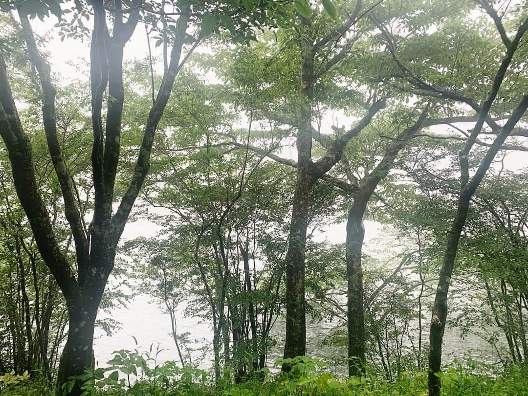 大田由香梨さんのインスタグラム写真 - (大田由香梨Instagram)「Beautiful moment 🌿　#Fog #Hakone」7月13日 22時22分 - otayukari