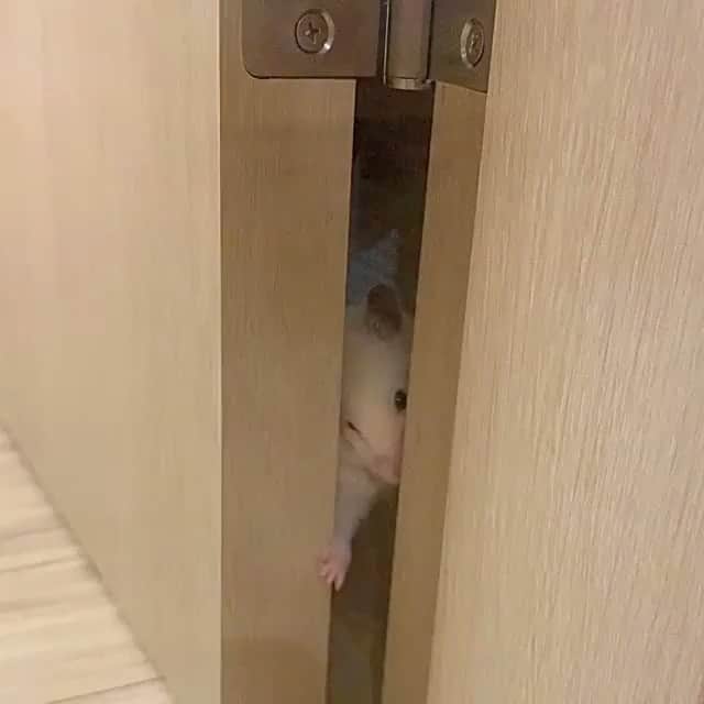 エイミー・セダリスのインスタグラム
