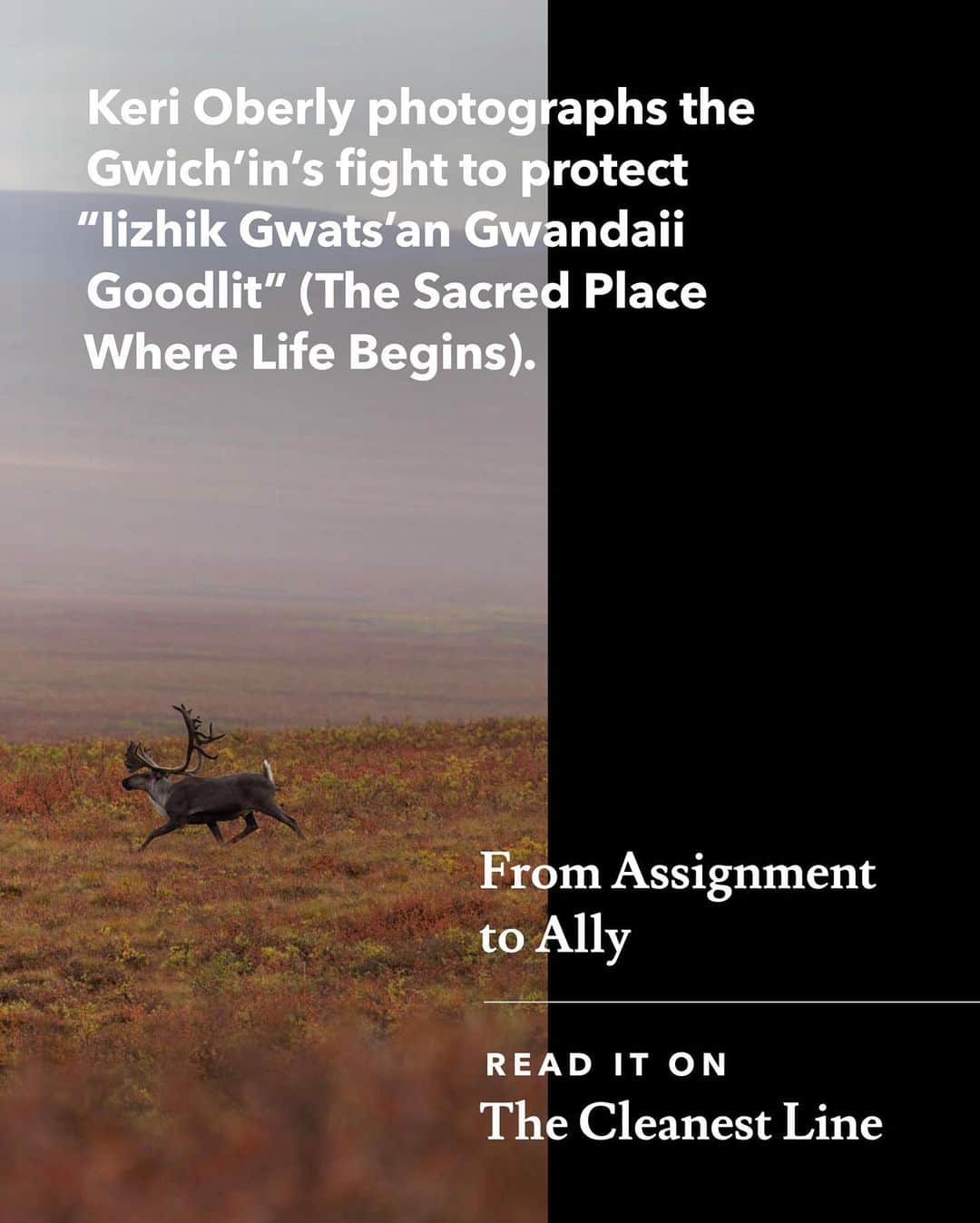 patagoniaさんのインスタグラム写真 - (patagoniaInstagram)「The Gwich'in have been fighting for decades to protect the coastal plain of the Arctic National Wildlife Refuge, known to them as “Iizhik Gwats’an Gwandaii Goodlit” (The Sacred Place Where Life Begins). The Trump administration has taken aggressive steps to fast-track oil and gas drilling lease sales and development on these lands. Harm to the land is harm to the Gwich'in people. The photographs in this post were made on the unceded lands of the Neets’ąįį, Gwichyaa Gwich'in, and the Tanana Dene Athabascan Peoples of what is now called Alaska. Keri Oberly has been photographing the Gwich'in's relentless work to protect their food security and sacred land. Photo: @kerioberly ⁠⠀ ⁠⠀ Read the story through the link in our bio.」7月14日 4時18分 - patagonia