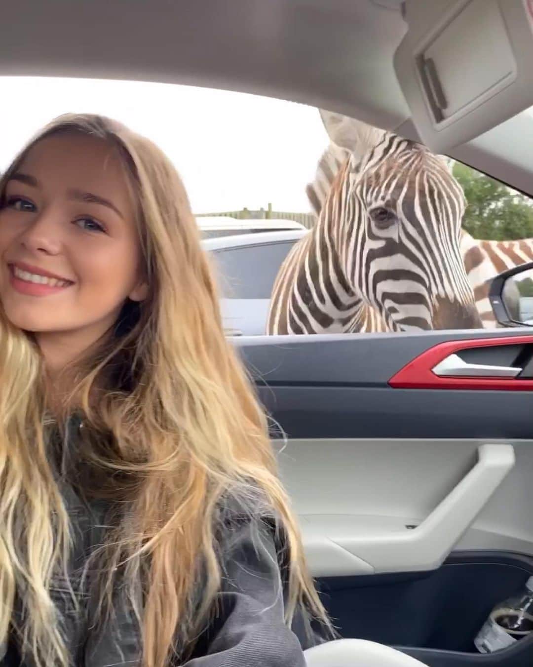 コニー・タルボットさんのインスタグラム写真 - (コニー・タルボットInstagram)「Not everyday you get to take a selfie with a zebra 🦓」7月13日 23時02分 - officialconnietalbot