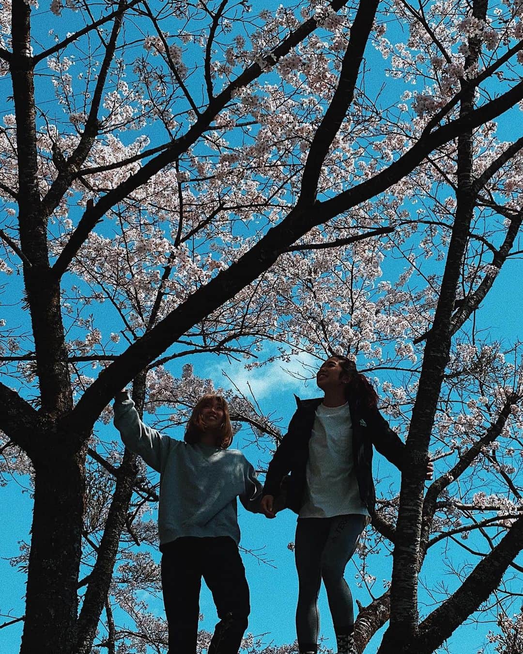 野中生萌さんのインスタグラム写真 - (野中生萌Instagram)「#tb to a great time in Shikoku with my friends a few months ago before things got worse due to the 🦠🦠🦠 Felt so good to be surrounded by beautiful nature.😌🍃🌞🌿 ———————————————————— コロナで事態が悪化する前の思い出。大自然と温かい人のエネルギーに癒された、四国大好きになった♡」7月13日 23時20分 - nonaka_miho