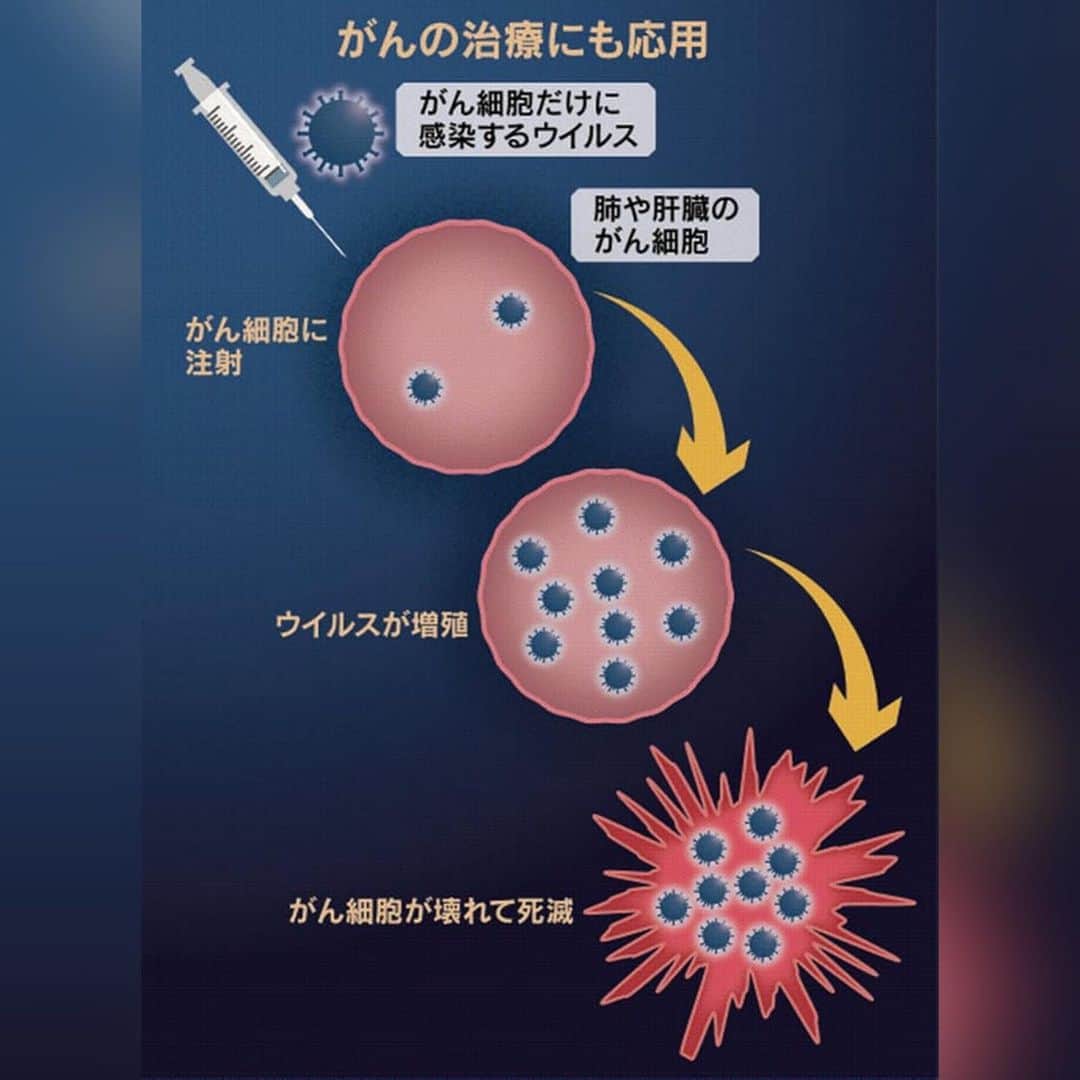 日本経済新聞社さんのインスタグラム写真 - (日本経済新聞社Instagram)「悪のウイルス、悪を制す　病魔と闘い害虫も駆除 #驚異のウイルスたち . ウイルスは病気を起こし、時には命を奪います。しかし、見方を変えると、全く違った表情を見せます。ウイルスは特定の生物の間で広まり、脅威を与えます。作物を枯らす害虫や人体に巣くうがん細胞に感染すれば、人類が打ち勝つ力となります。「毒をもって毒を制する」。その活躍ぶりをのぞいてみましょう。 . プロフィールのURLから日経電子版ページへ→「驚異のウイルスたち」で検索してご覧になれます。」7月13日 23時22分 - nikkei