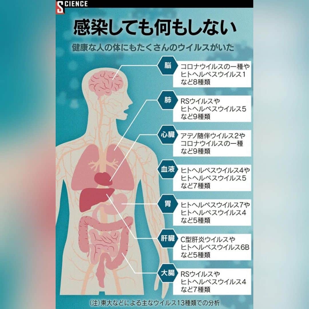 日本経済新聞社さんのインスタグラム写真 - (日本経済新聞社Instagram)「健康な人からウイルス続々　脳にも感染、潜伏の謎深く #驚異のウイルスたち . 東京大学のチームは健康な人の全身に少なくとも39種類のウイルスが居着いていることを突き止めました。肺や肝臓など主な27カ所で、感染を免れていた組織はゼロ。想像を超える種類のウイルスは、脳や心臓にまで侵入していました。発病していない「健康な感染者」の存在は、感染症と闘ってきた人間社会にウイルスとの新たな向き合い方を迫っています。 . プロフィールのURLから日経電子版ページへ→「驚異のウイルスたち」で検索してご覧になれます。」7月13日 23時24分 - nikkei