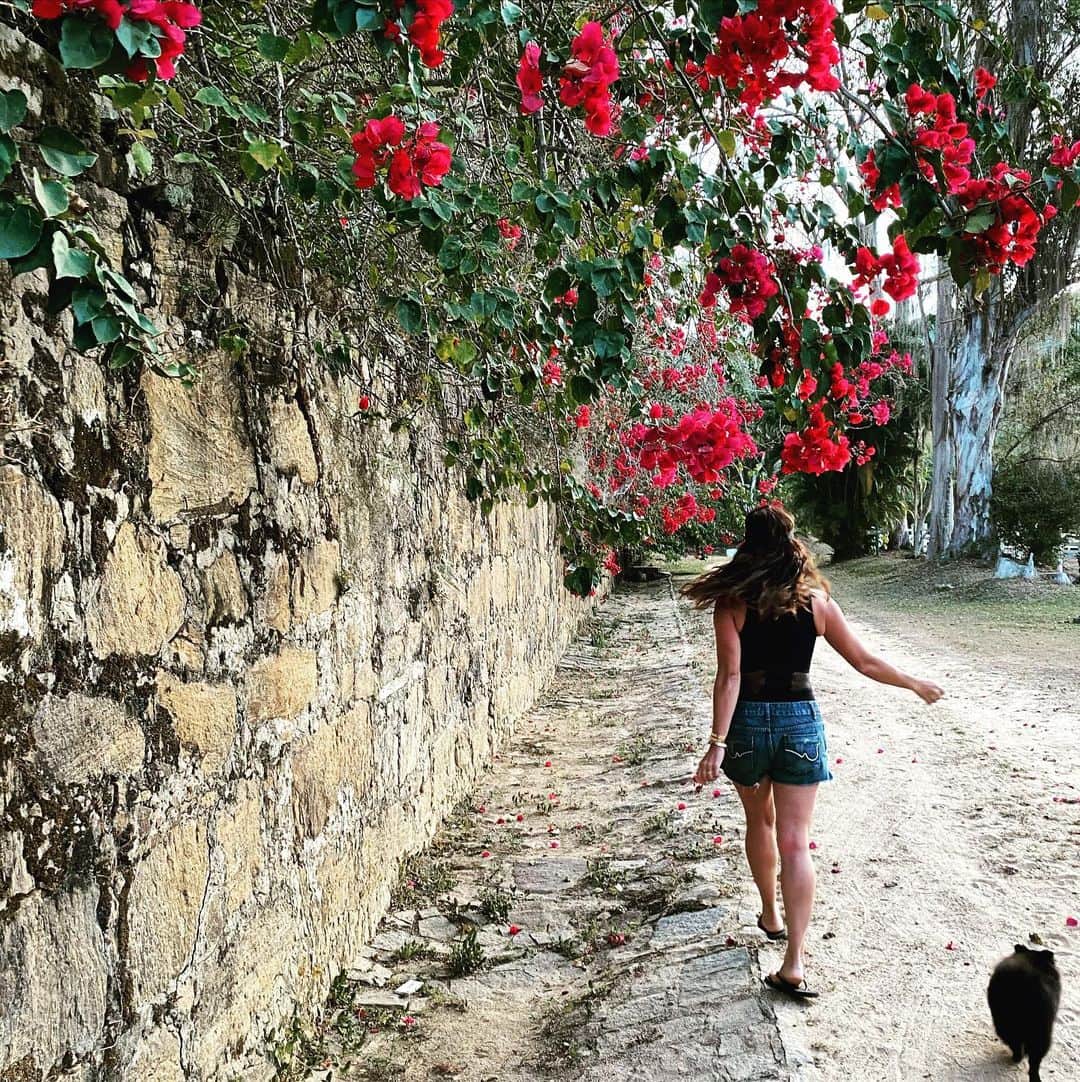 Giovanna Antonelliのインスタグラム：「'Se a gente cresce com os golpes duros da vida, também podemos crescer com os toques suaves da alma '!! #coracoralina  Desejo uma semana suave pra todos nós!! ☺️」