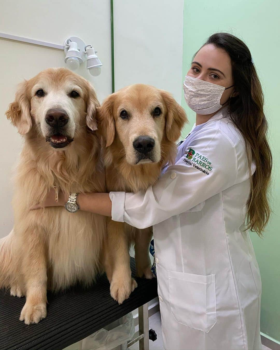 Bobさんのインスタグラム写真 - (BobInstagram)「Dia da primeira sessão de acupuntura do Bob, será que ele tem medo de agulha? @acupuntura_vet @hospitalvetpaesdebarros  . . . #pets #photooftheday #petsofinstagram #instagrammers #instagram #instadaily #vejasp #goldenretriever #goldenretrievers #goldenretrieversofinstagram #dogs #dogstyle #dogoftheday #dogsofinstagram #saopaulo #gudfriends #photography #acupuntura #acupunturapet」7月14日 0時29分 - bob_marley_goldenretriever