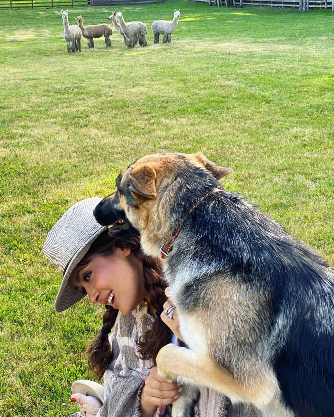 サルマ・ハエックさんのインスタグラム写真 - (サルマ・ハエックInstagram)「Animals and nature always make me happy 😊. La naturaleza y los animales siempre me hacen feliz.  #alpaca #germanshepherd #ranch」7月14日 0時38分 - salmahayek