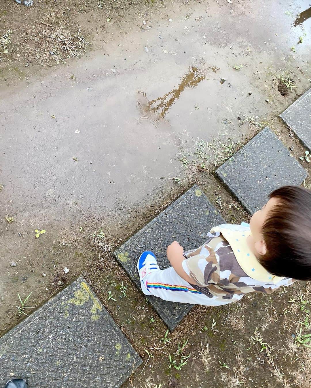 Momoeのインスタグラム：「. .  へー、これ水溜まりっていうんだー って顔で眺めてるみよ👦🏻 . 目に入るもの全てが 人生初の経験だと思うと貴重だよね🥺💕 . . #happy #家事 #育児 #family #家族 #boy #smile #男の子 #息子 #code #love #lucky #kids #子供 #thankyou #宝物 #ベビー #fashion #follow #心 #縁 #パパ #ママ #家族写真 #男の子ママ #赤ちゃん写真 #photo #子育て #1歳 #flower」