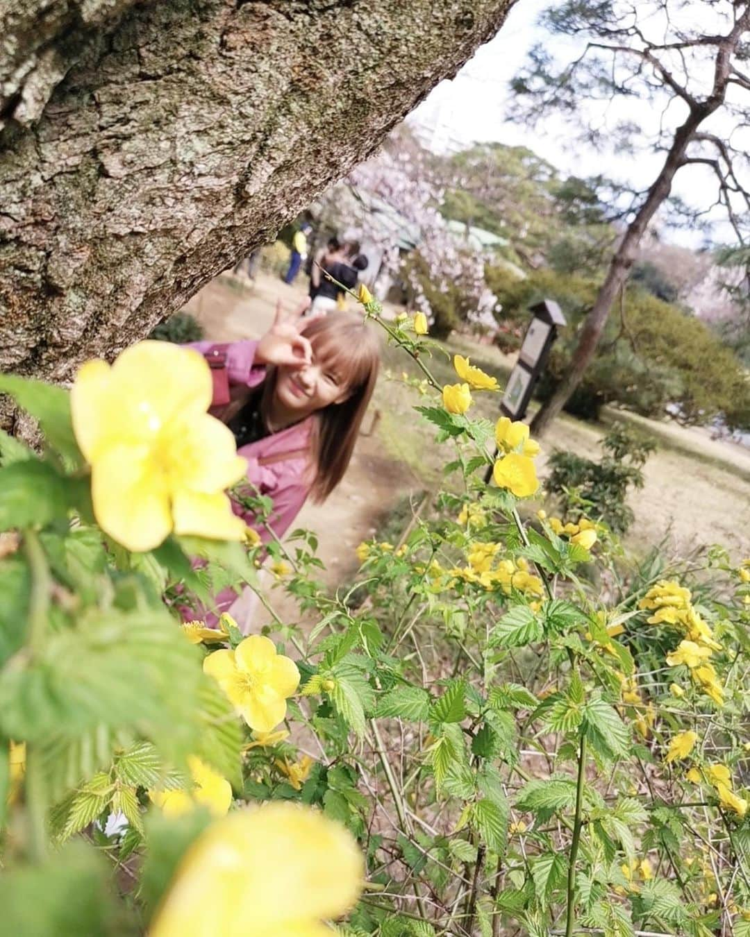 横山玲奈さんのインスタグラム写真 - (横山玲奈Instagram)「「みーつけたっ✌️」  って感じがすごい。笑 今年の夏はひまわり畑に行きたい🌻 皆さんの好きなお花はなんですか？？  たくさんのコメントや DMありがとうございます！  ぜーんぶ見させていただいてます🙇‍♀️ 今後の投稿の参考にさせていただきますね💝  #横山玲奈 #よこやん #お花畑 #ハイトーンカラー #ひまわり #向日葵 #六義園」7月14日 12時18分 - reina_yokoyama.official