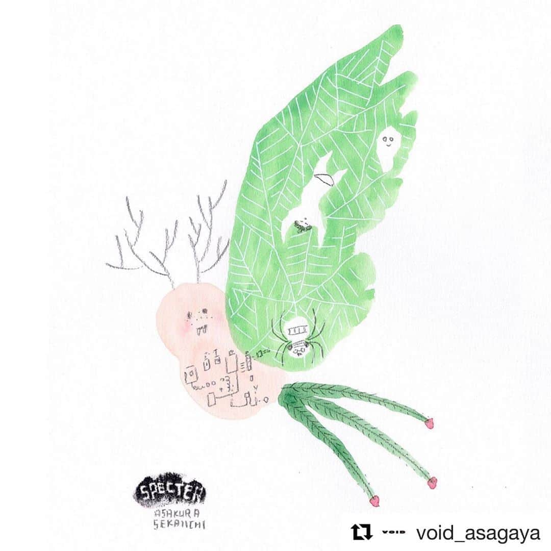 朝倉世界一のグルメインスタ