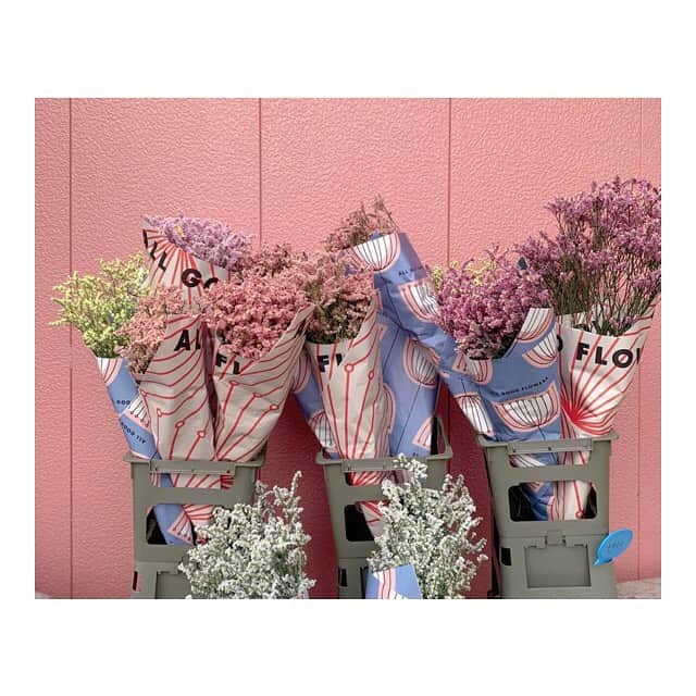 朝日奈芙季さんのインスタグラム写真 - (朝日奈芙季Instagram)「.﻿ 先日﻿ 事務所に行った時に、﻿ みなさんからのお手紙を受け取りました💌﻿ ﻿ ﻿ いつも、本当にありがとうございます☺︎♡﻿ ﻿  ﻿ これからも ﻿応援してくださる皆さんに 良い報告ができるように、頑張ります...!﻿ ﻿ ﻿ #朝日奈芙季 #花 #flower #instagood #instalike」7月14日 13時14分 - fuki_asahina_official