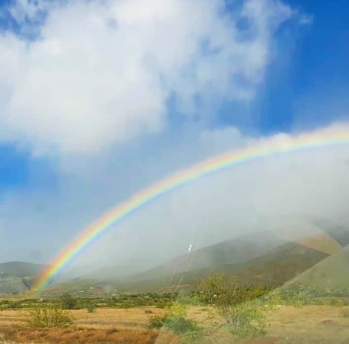 マキ・コニクソンさんのインスタグラム写真 - (マキ・コニクソンInstagram)「ハワイからおっはよ！今朝は虹ちゃまが顔を出してくれました！すぐに消えちゃったけど一瞬でもハッピーな気分になれた！虹ってスターだよね。🌈パッと現れて皆んなを一瞬で笑顔にしてくれる！そして徐々に薄くなって消えていくの。皆んなに惜しまれながら消えていくのってカッコイイ！同時に人々の心を癒してくれる！😊 目指せ虹ちゃま！🌈🙏🏻 今日はお仕事でバタバタだけど一つ一つ、ゆっくり丁寧に片付けていきます！ポジティブに”思いやりの心を持って”今日も行ってらっしゃい！👋🏼 Alohappy!! 😄🤙🏼 #エアハワイ🌺 #虹のおすそ分け🌈」7月14日 5時27分 - makikonikson
