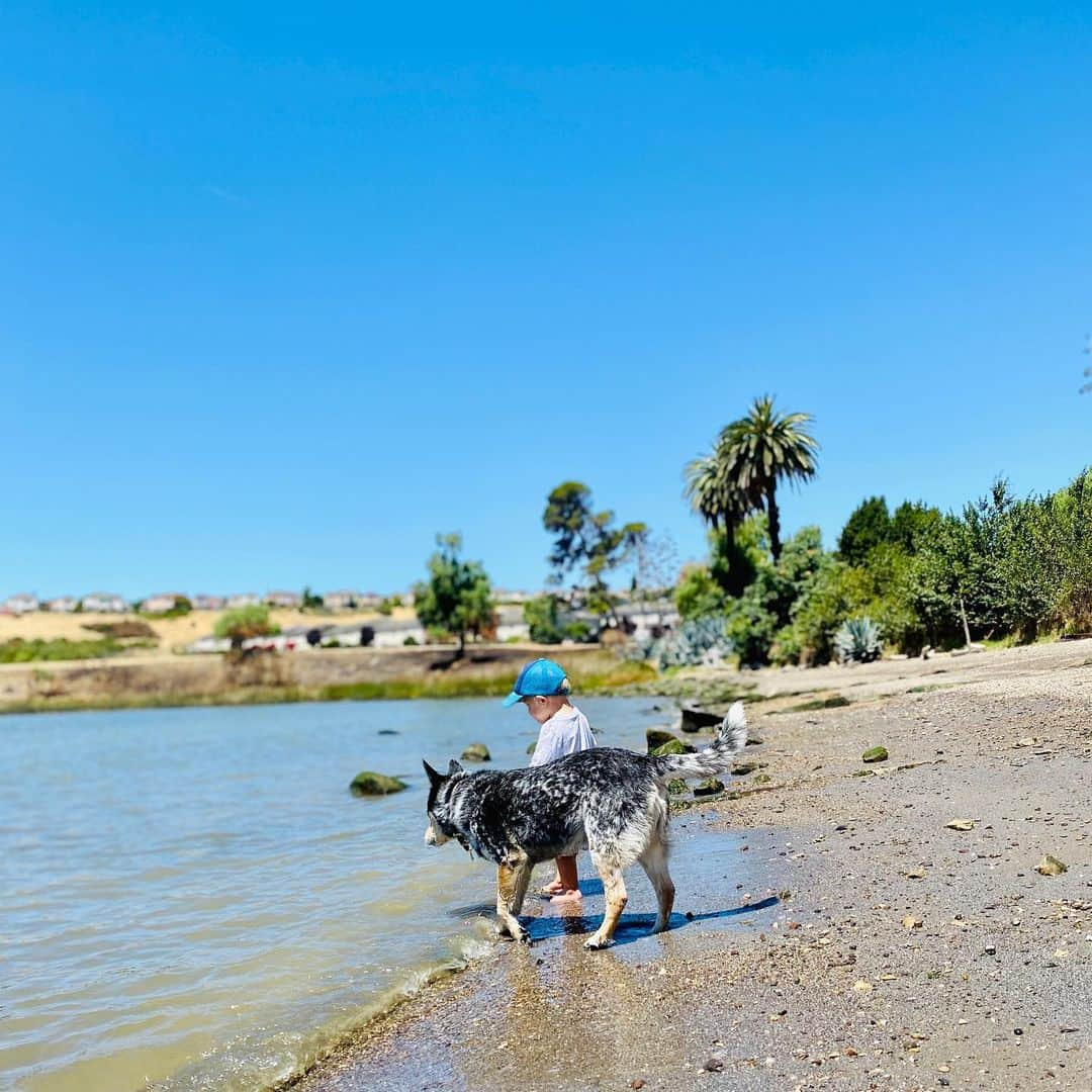 Dogs by Ginaさんのインスタグラム写真 - (Dogs by GinaInstagram)「Name this beach!   First comment with the correct answer gets a gift 🐾   *IG ONLY*」7月14日 5時22分 - napanatural.dogco