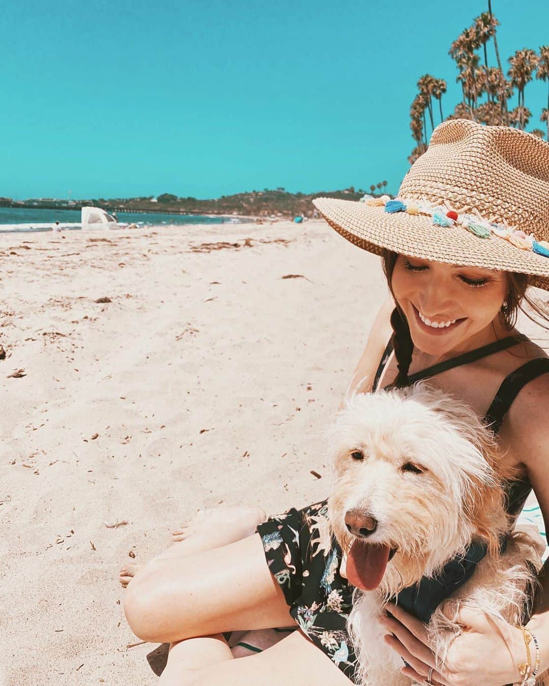 ケイト・ボイージェルのインスタグラム：「discovering Cali has dog friendly beaches was well worth my epic sunburn fail that followed ☀️🐾🌊 @nolawestcoast loves the coast!」