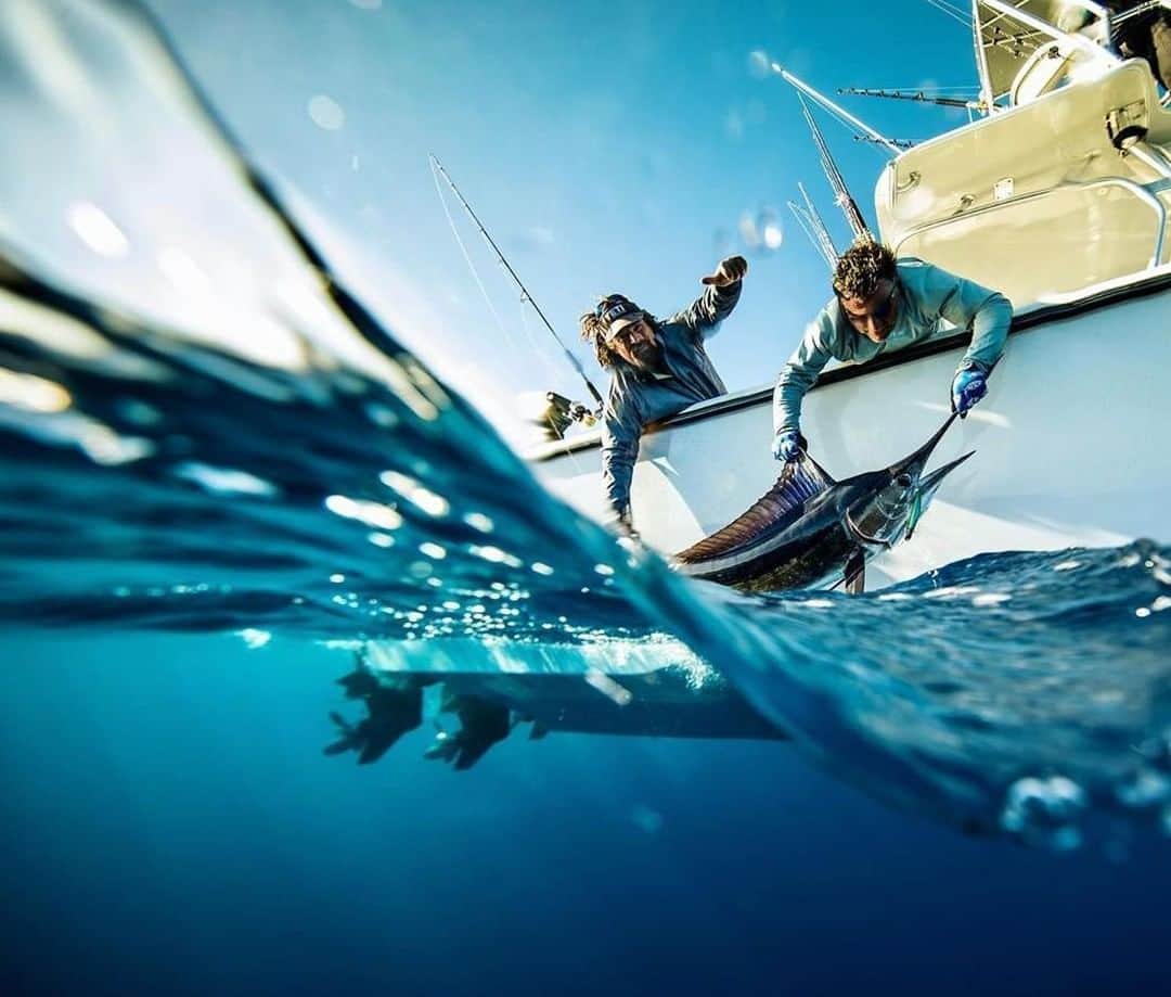 Costa Sunglassesのインスタグラム：「Pulled off the pack. 📷: @perrinjames1 @carterandrewsfishing #SeeWhatsOutThere #BornOnTheWater」