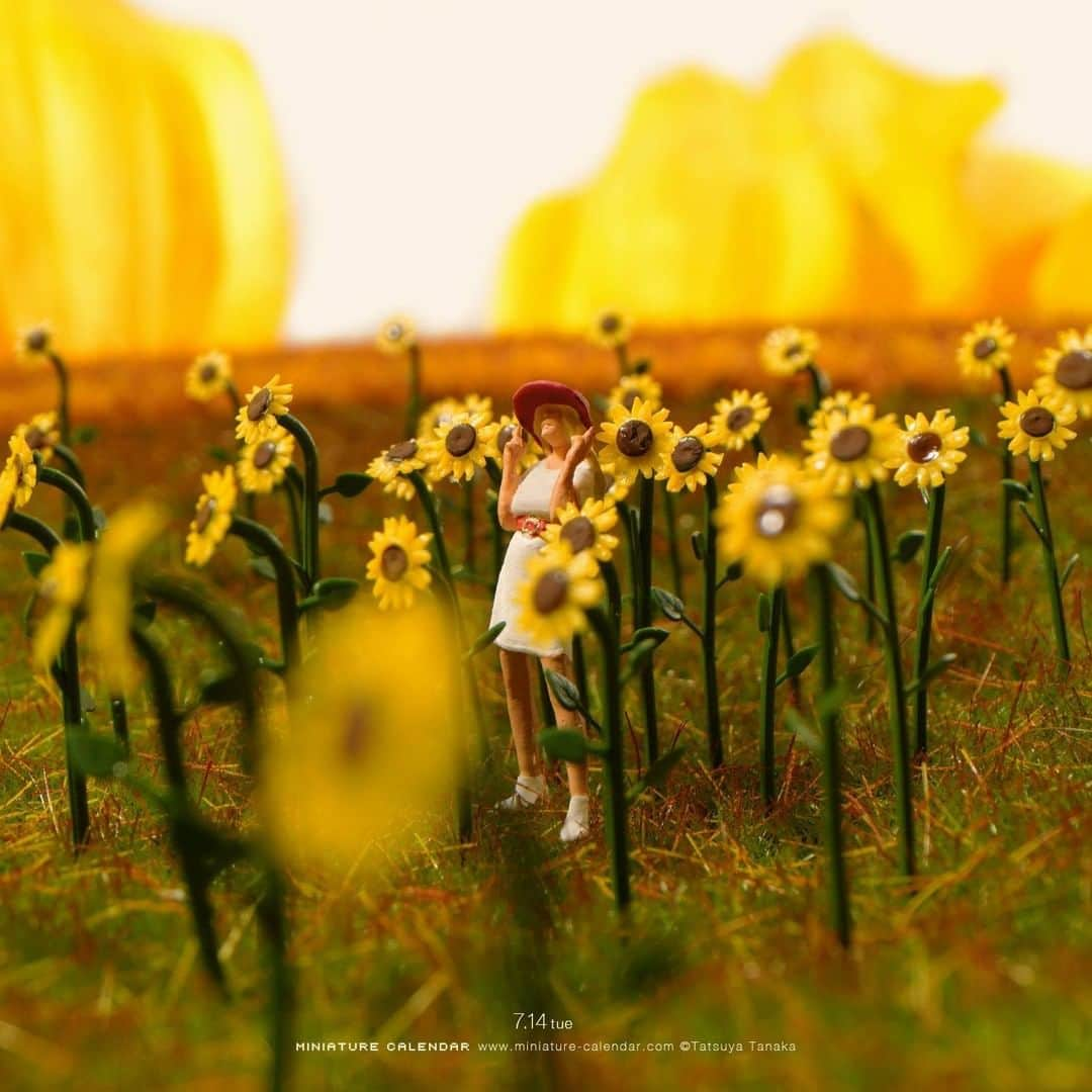 田中達也さんのインスタグラム写真 - (田中達也Instagram)「⠀ “Sunflower Field” ⠀ ヒマワリのヒマワリによるヒマワリのための畑 ⠀ #ひまわりの日 #花畑 #Sunflower #FlowerGarden ⠀ ───────────────── 《EXHIBITION info》 ⠀ 【MINIATURE LIFE展 in 函館】 MINIATURE LIFE EXHIBITION in Hakodate until: Aug 16, 2020 #MiniatureLife展 #ミニチュアライフ展 ⠀ ℹ️Please look at the Instagram story’s highlight for more information. ⠀」7月14日 7時00分 - tanaka_tatsuya