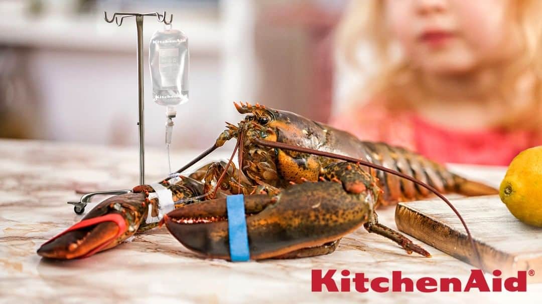 ジ・オニオンさんのインスタグラム写真 - (ジ・オニオンInstagram)「KitchenAid Unveils New Lobster Sedation Kit To Reduce Cruelty Of Boiling Them Alive」7月14日 7時26分 - theonion