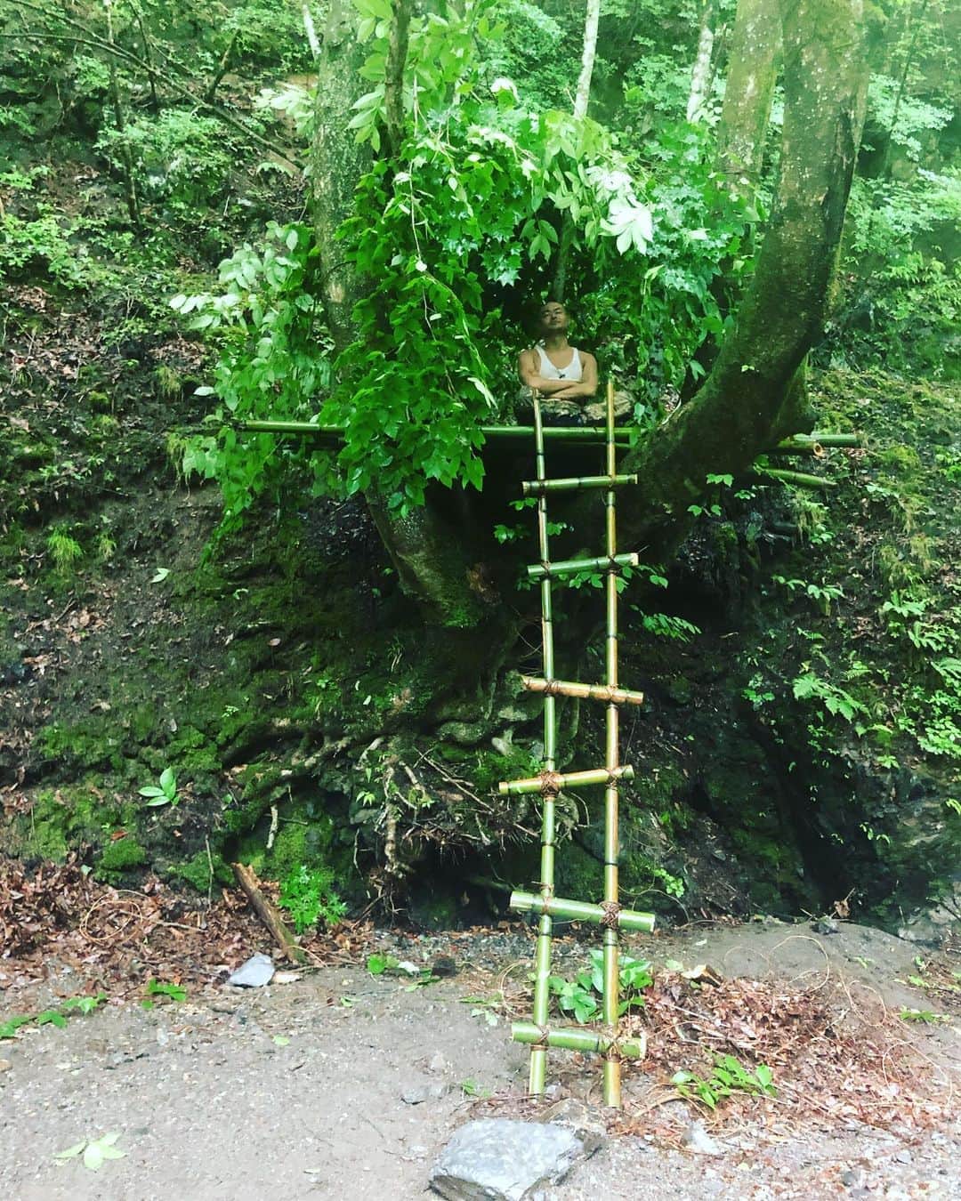 あばれる君のインスタグラム：「五本の木を中心にツリーハウス🌲🏡五本木ヒルズ‼️ありがとうございました💪✨」