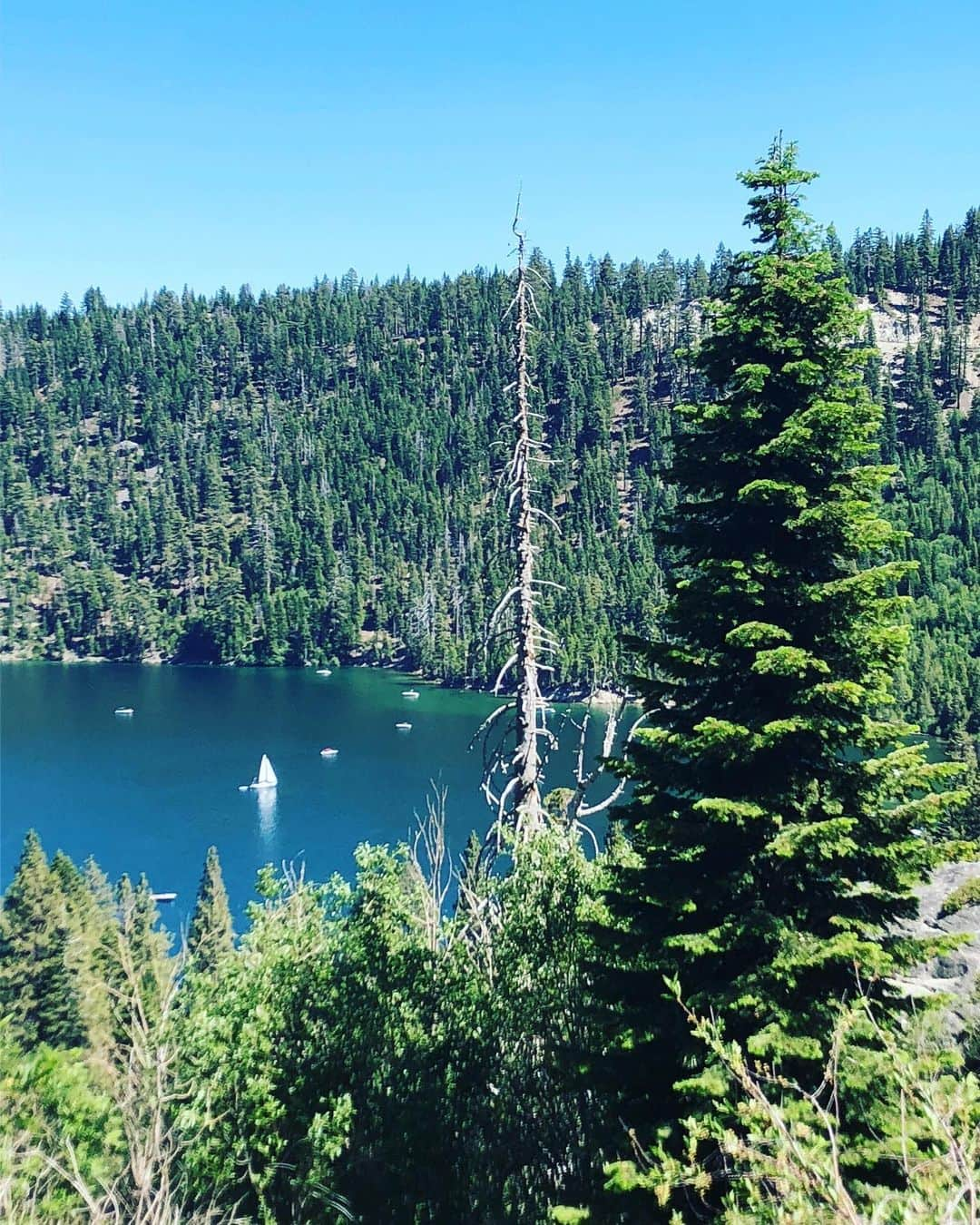 Tianna Gregoryさんのインスタグラム写真 - (Tianna GregoryInstagram)「Tahoe in 9 days!! 🙌🏽 To do list: Hikes, beach, lake day, relaxation 😊」7月14日 8時53分 - tiannag