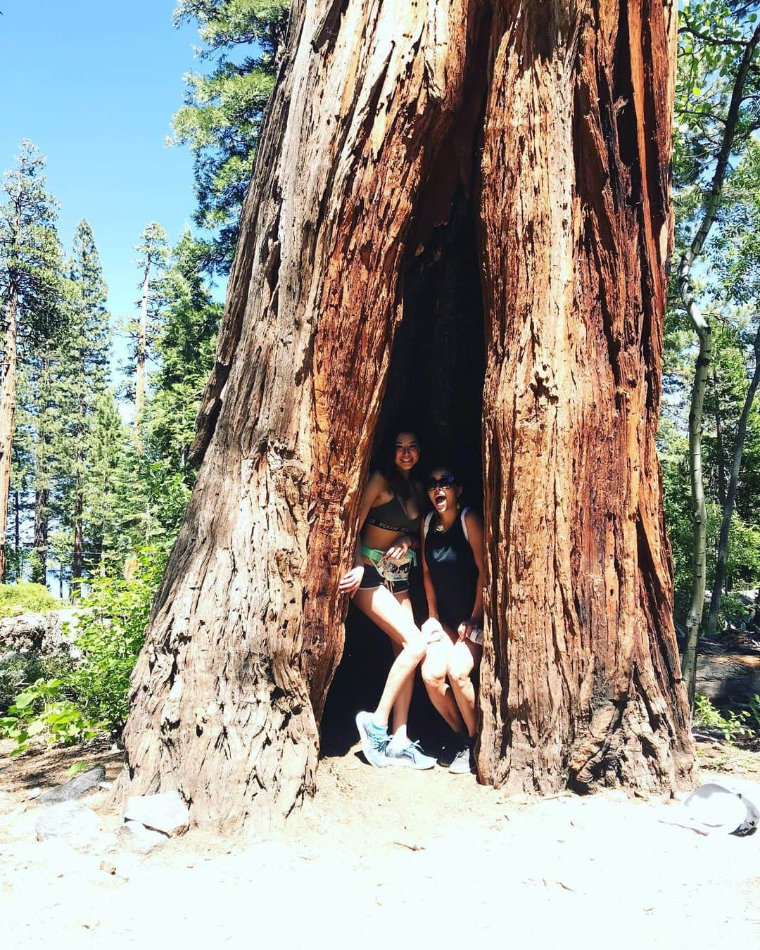 Tianna Gregoryさんのインスタグラム写真 - (Tianna GregoryInstagram)「Tahoe in 9 days!! 🙌🏽 To do list: Hikes, beach, lake day, relaxation 😊」7月14日 8時53分 - tiannag