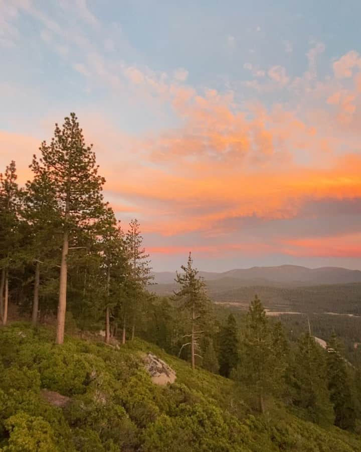 クリス・バーカードのインスタグラム：「I figured someone may need to see this right now as much as I did the other day. Nature is powerful medicine. ❤️」