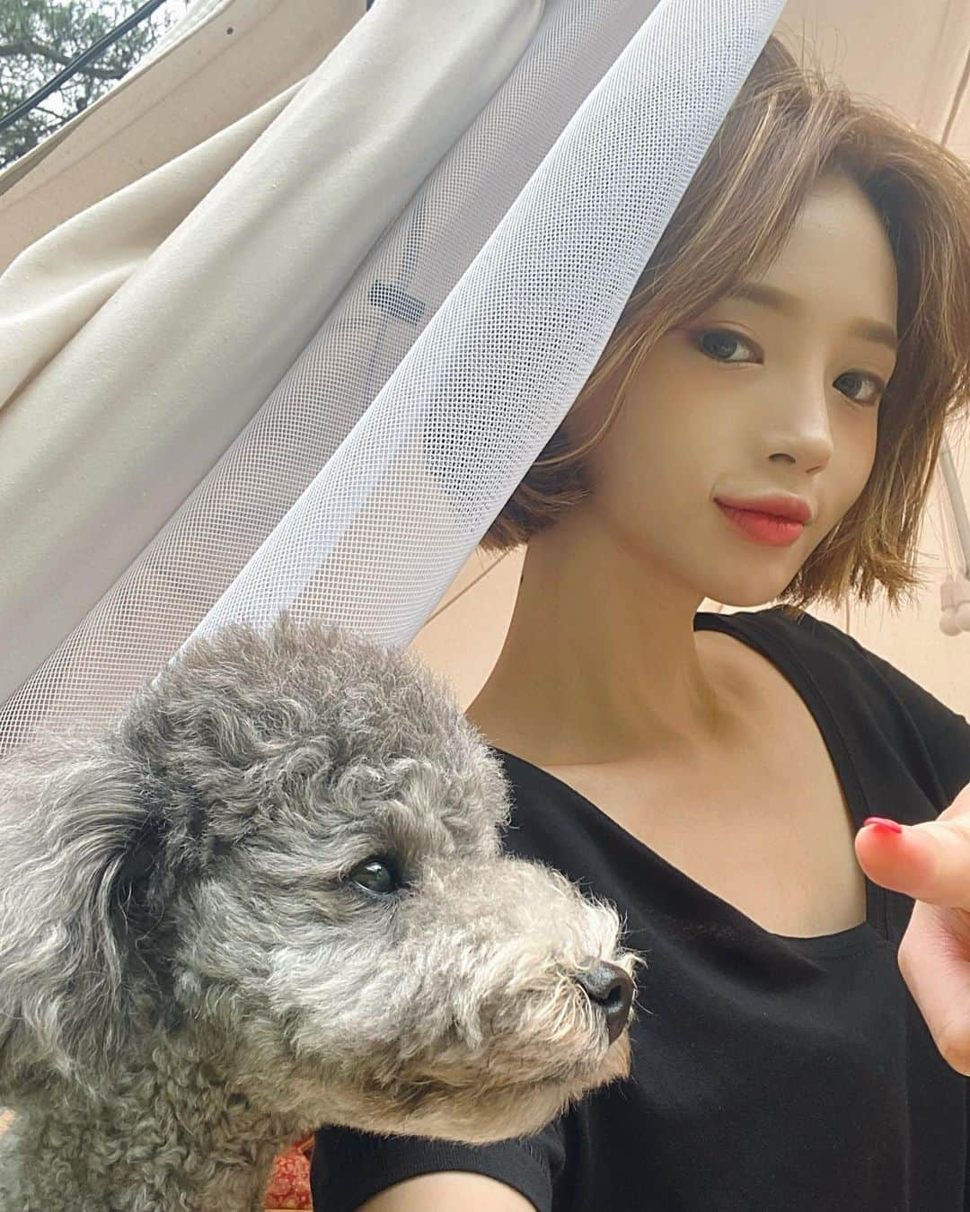 Yoonbitnaさんのインスタグラム写真 - (YoonbitnaInstagram)「쿠로가 벌써 세살이라니,(.ㅅ.) #우리애기 #🐶」7月14日 9時31分 - bitnnaya