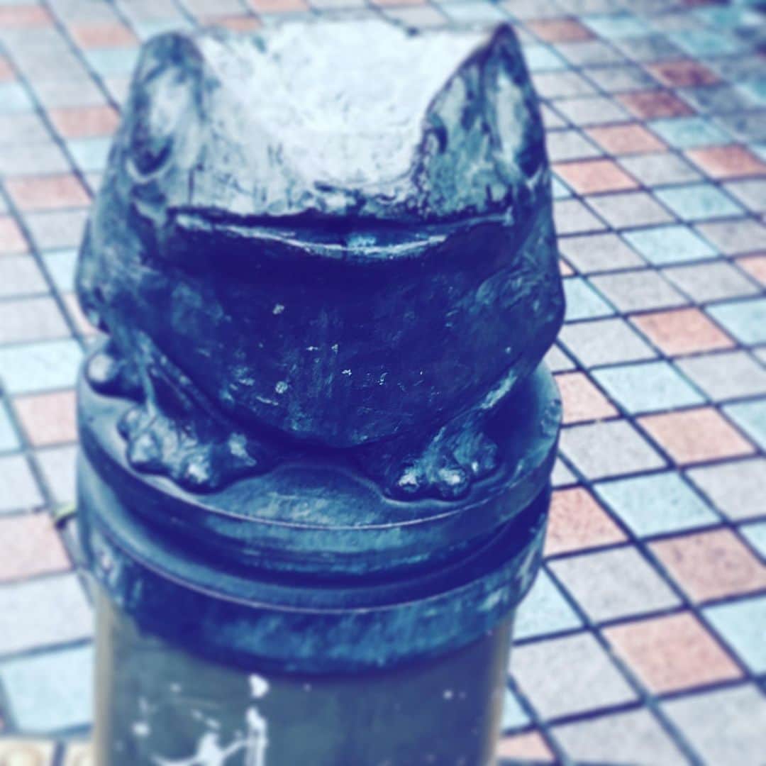中野敬久さんのインスタグラム写真 - (中野敬久Instagram)「#statue #frog #neighborhood #hope #street #jakuzure」7月14日 9時43分 - hirohisanakano