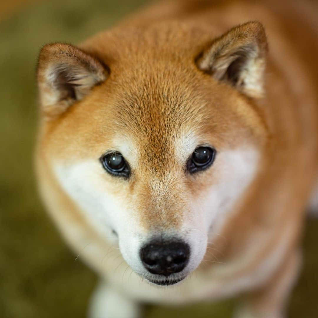 まる（まるたろう）のインスタグラム