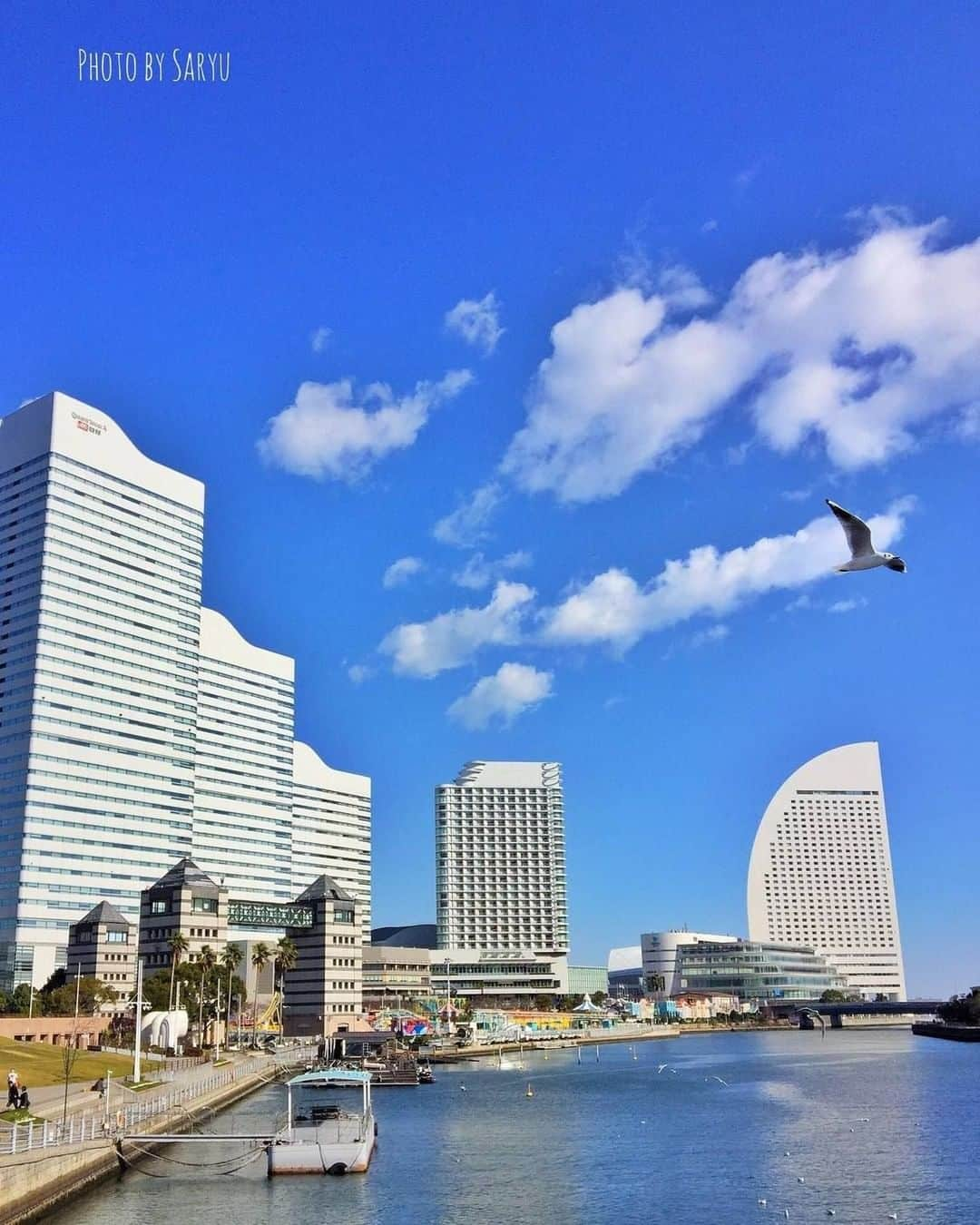 東京カメラ部 横浜分室さんのインスタグラム写真 - (東京カメラ部 横浜分室Instagram)「Photo by @coca_cola_lesson⠀ 「汽車道より」⠀ https://www.instagram.com/p/B9f8EKwpZm-/⠀ .⠀ いいね！＆コメント大歓迎！⠀ ※投稿に関するご注意・ポリシーは東京カメラ部に準じます。詳しくは下記をご覧ください。⠀ http://app.minpos.com/fb/willvii/camera_jpn/static/guideline⠀ .⠀ #みなとみらい線フォト散歩 #みなとみらい線フォトさんぽ #みなとみらい線 #横浜 #新高島 #みなとみらい #馬車道 #日本大通り #元町中華街 #yokohama #東京カメラ部 #Japan #photo #写真 #日本⠀ Follow: @TCC.Yokohama⠀ .⠀ ※皆様、政府、自治体など公的機関の指示に従った行動をお願いします。⠀ 東京カメラ部および分室では、写真を「見る楽しみ」を提供することを通して、微力ながら皆様にわずかな時間でも癒しをお届けしたいと思っております。」7月14日 11時00分 - tcc.yokohama