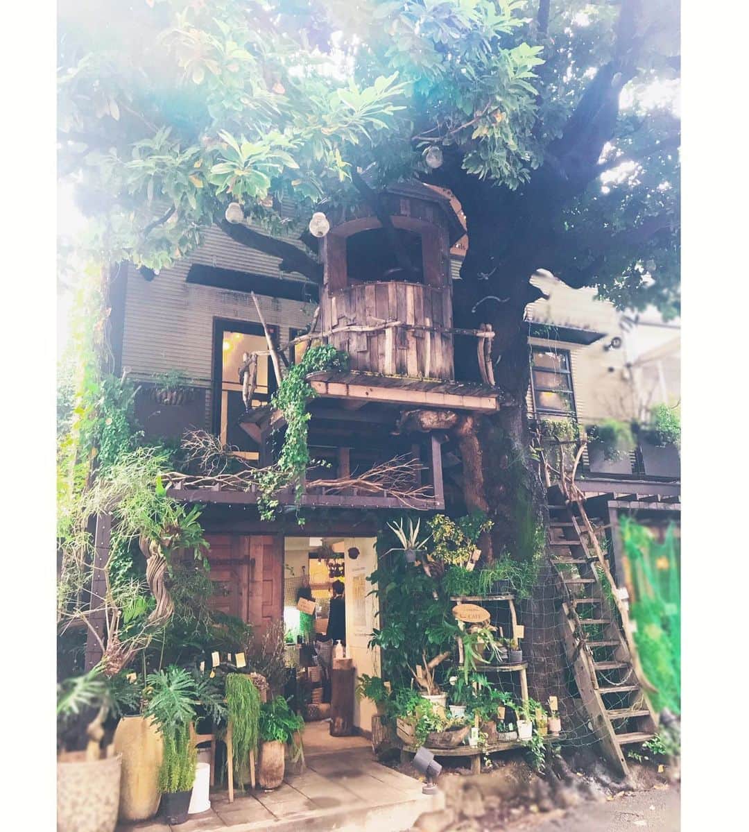 咲希あかねのグルメインスタ