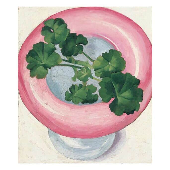 クレメンツリベイロさんのインスタグラム写真 - (クレメンツリベイロInstagram)「#georgiaokeeffe Geranium Leaves in Pink Dish #1938 🦎」7月14日 21時25分 - clementsribeiro