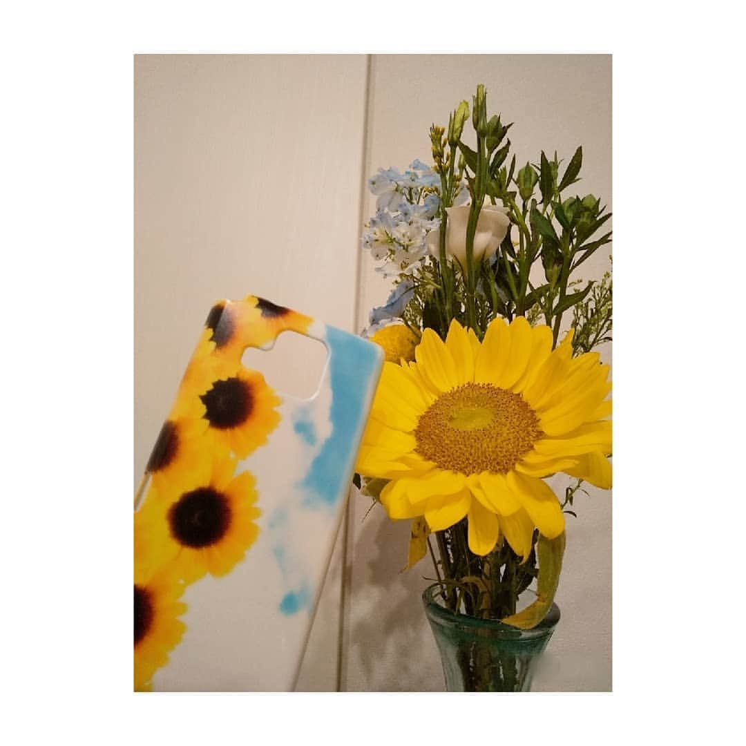 花陽みらさんのインスタグラム写真 - (花陽みらInstagram)「7月14日🌻今日は【ひまわりの日】親友が教えてくれました！  1977年に日本初の静止気象衛星【ひまわり1号】がうち上がったらしい！✨(Google先生より…引用)  早く、ひまわりがキラキラと輝き咲く天気が日本に戻ってきますように。  左の、携帯ケースは尊敬する方からのプレゼント😌「みく みたいだから！」と🎁 大切に飾っています(笑)  #ひまわりの日  #フランス革命記念日 でもある😌 #ひまわりの様に #太陽に向かって咲く花 #花陽みく #花陽みら」7月14日 21時38分 - miku_hanahi