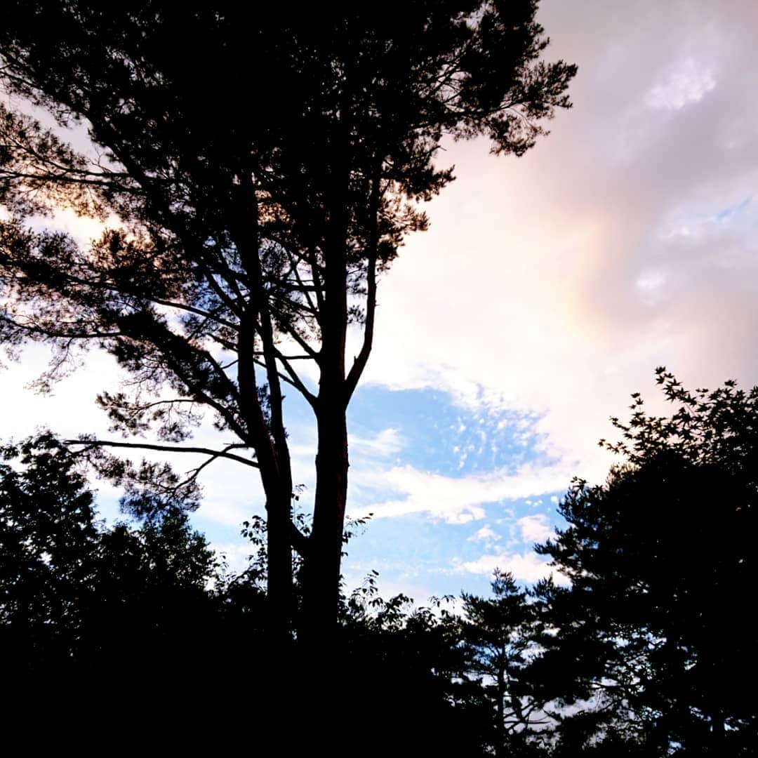 富永美樹さんのインスタグラム写真 - (富永美樹Instagram)「今日の#山梨 #富士山の森 明日から仕事の都合でしばらく東京なので#森の夕暮れ 見られて嬉しかったです♪#夕方 だけ一瞬の#晴れ間  でした#雲間の青空 に少しホッとしたので皆さまにも💕」7月14日 22時02分 - miki.tominaga.official