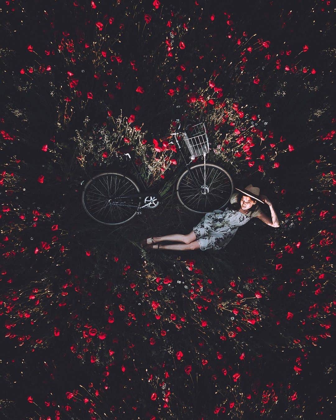 Thomas Kakarekoのインスタグラム：「when magic happens  A few weeks ago on the outskirts of Berlin when the red poppies were in full bloom. From 1 to 6, what’s your favorite one from this set?  #berlin with @hanna.look」