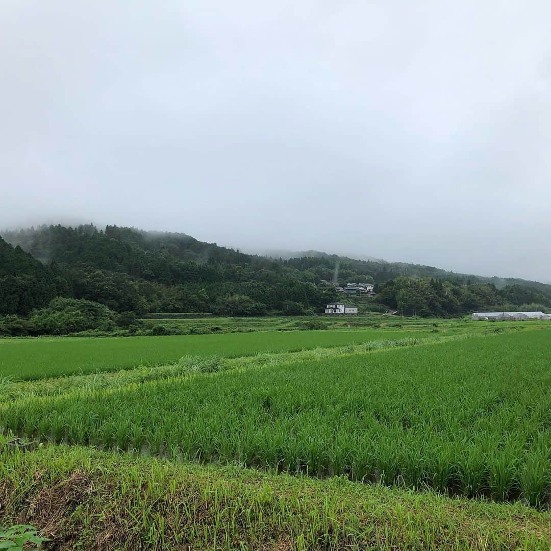 河本準一のインスタグラム
