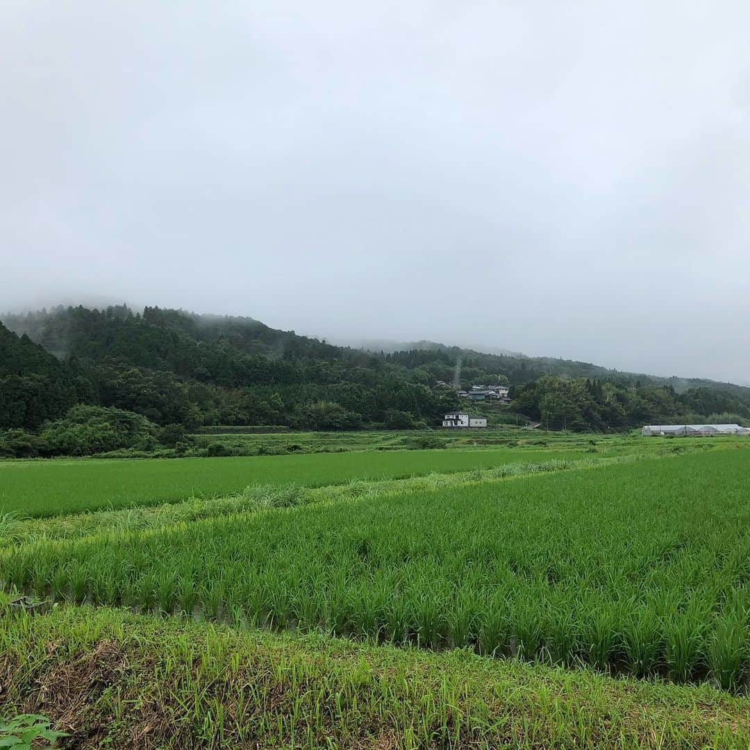 河本準一さんのインスタグラム写真 - (河本準一Instagram)「今年初めて農作業に行けました。 2期目も始まっています！ #準組 #準米 #大分 #朝来 #世界農業遺産地域 #蛍の町 #準組ホームページ」7月14日 13時39分 - junichi_komoto0407